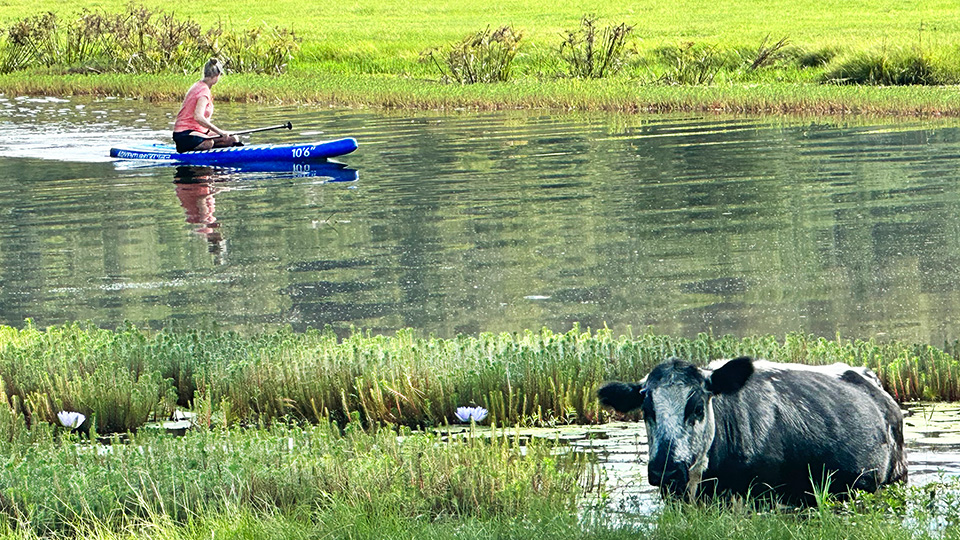 Canoeing