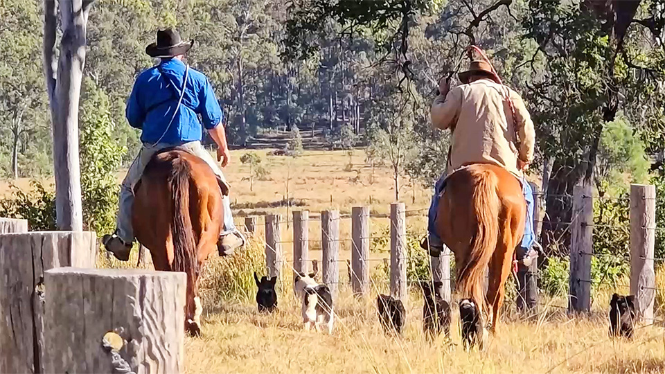 Horse Riding